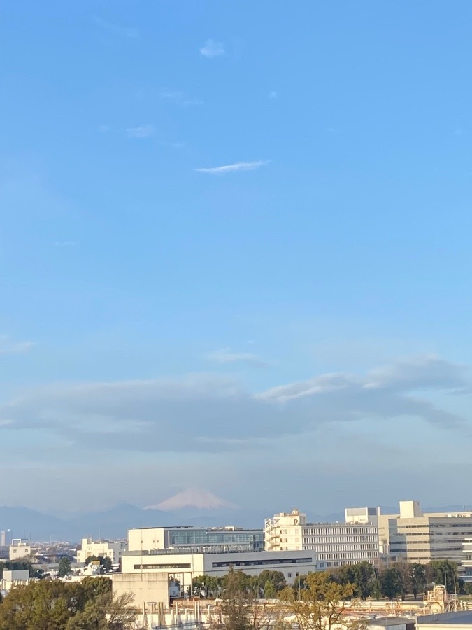 今朝の富士山　薄いかも感のある空気の中にそっと見えてますね