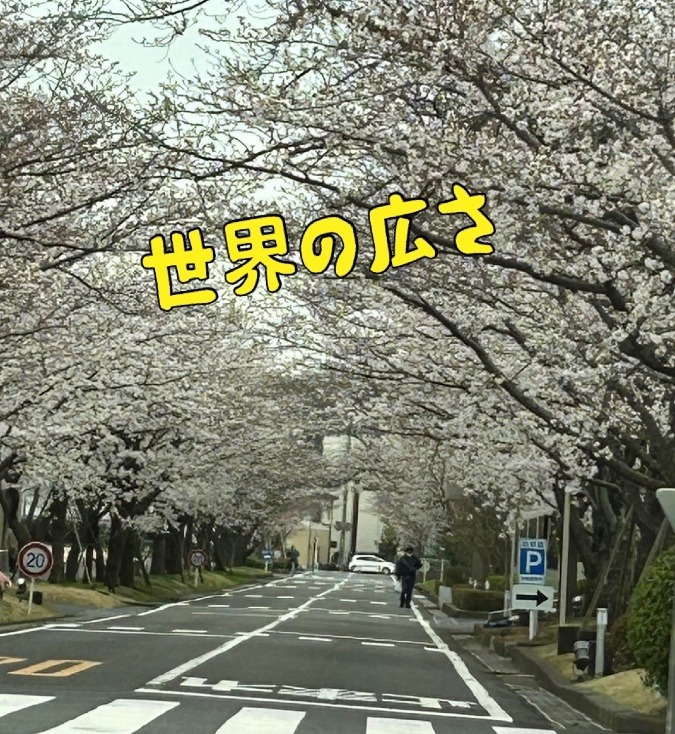 世界の広さ