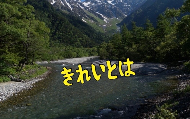 きれいとは