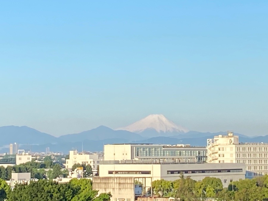今朝の富士山　少し薄い感じの空気感の中にきれいに見えています