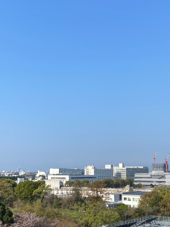 今朝の富士山　薄い空気の中に隠れて見えないですね
