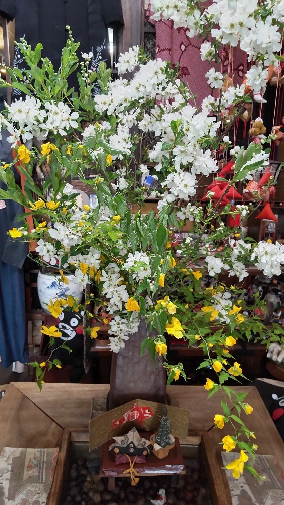 行きつけのお店の花