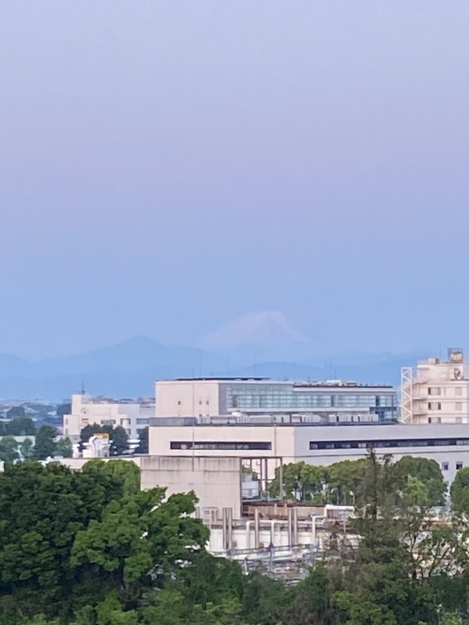 今朝の富士山　うっすらと見えている姿が美しい