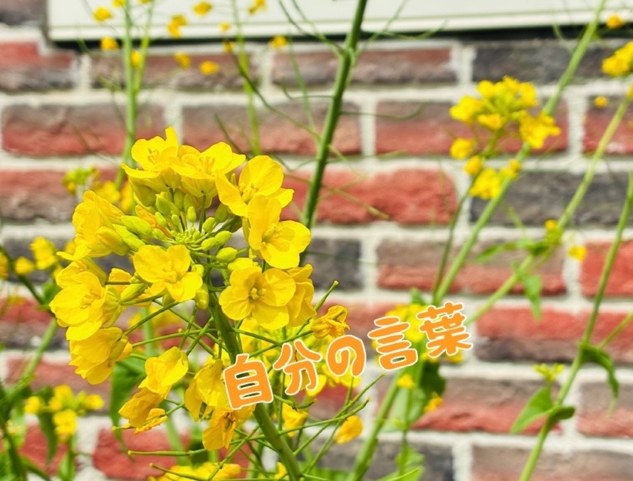 自分の言葉