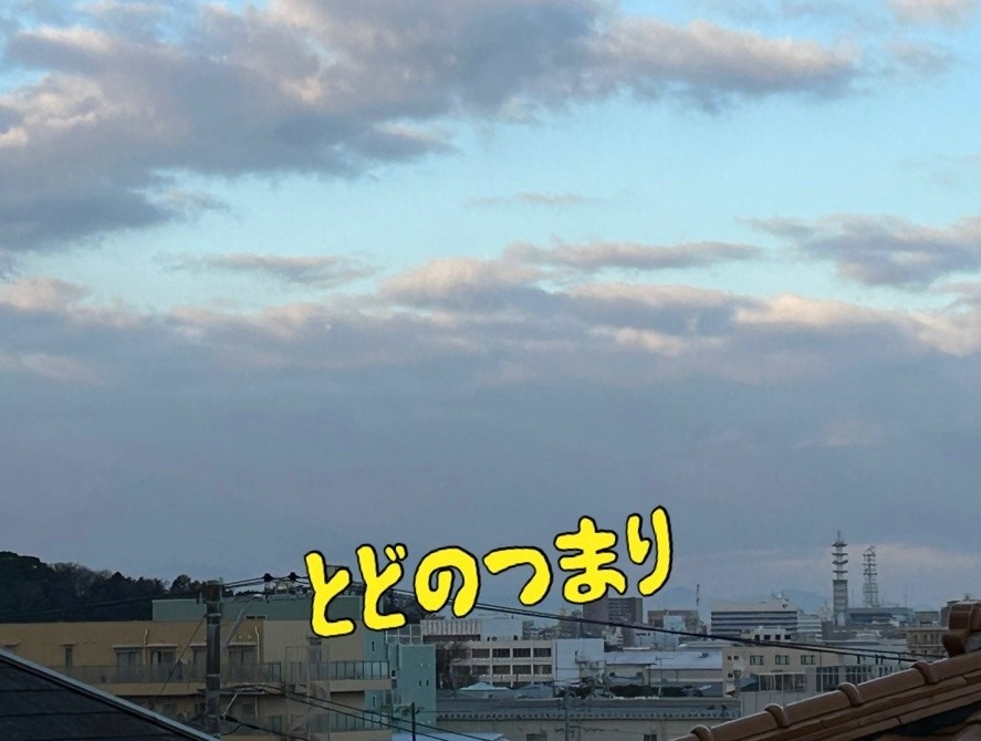 とどのつまり