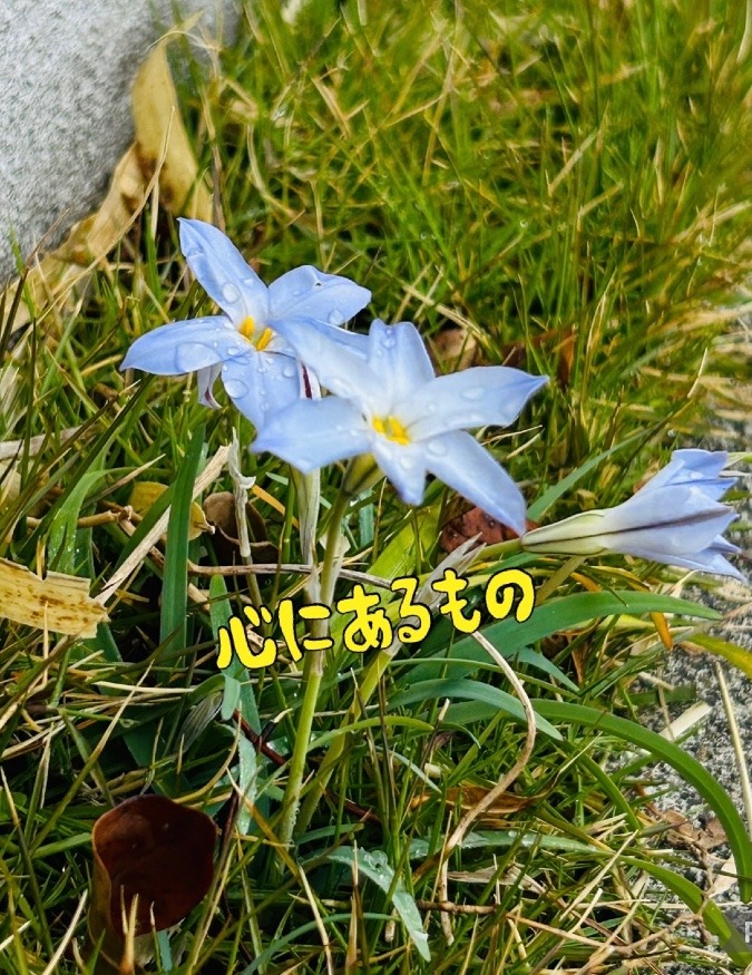 心にあるもの