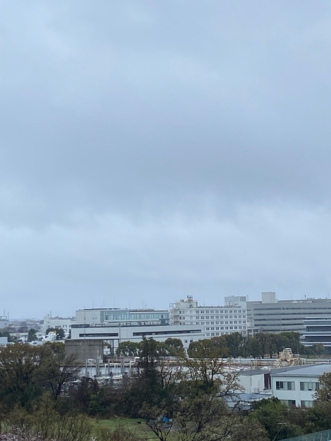今朝の富士山　冷たい雨と雲の中
