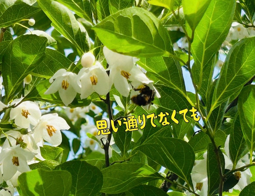 思い通りでなくても