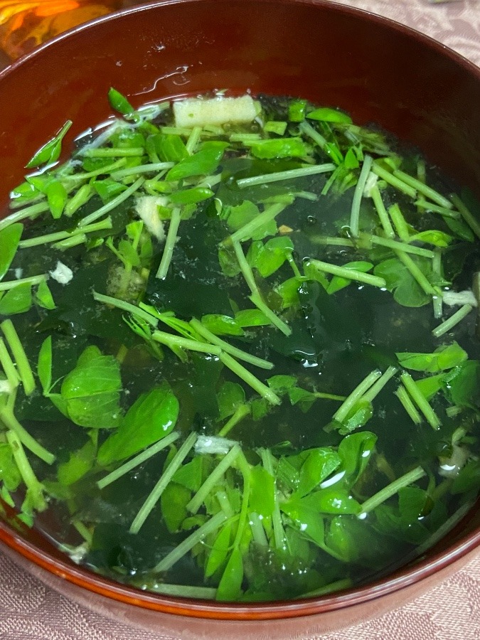 夕食はこれ