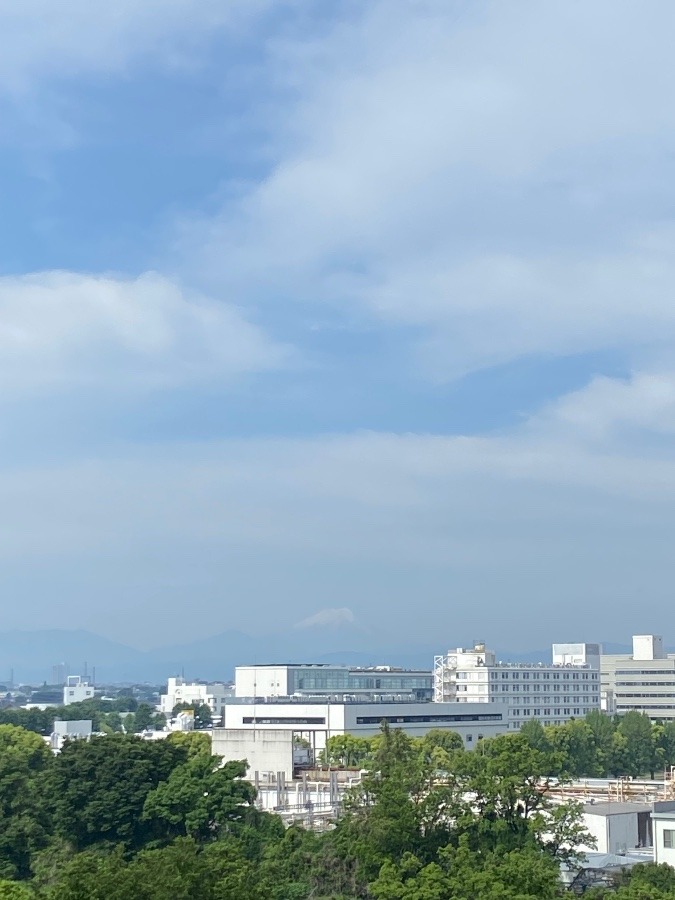 今朝の富士山　薄曇りの中でもうっすらと姿が見えるだけで嬉しい
