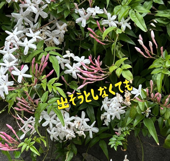 出そうとしなくても