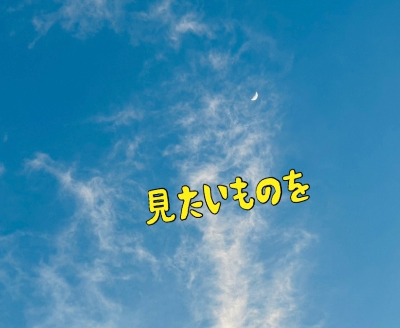 見たいものを