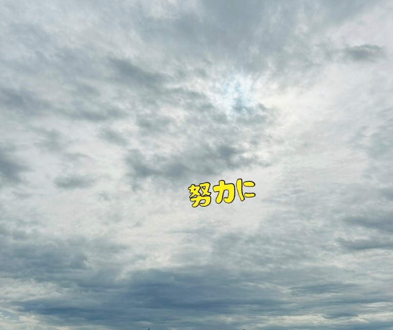 努力に