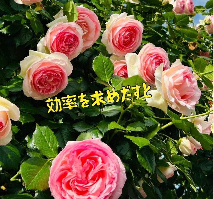 効率を