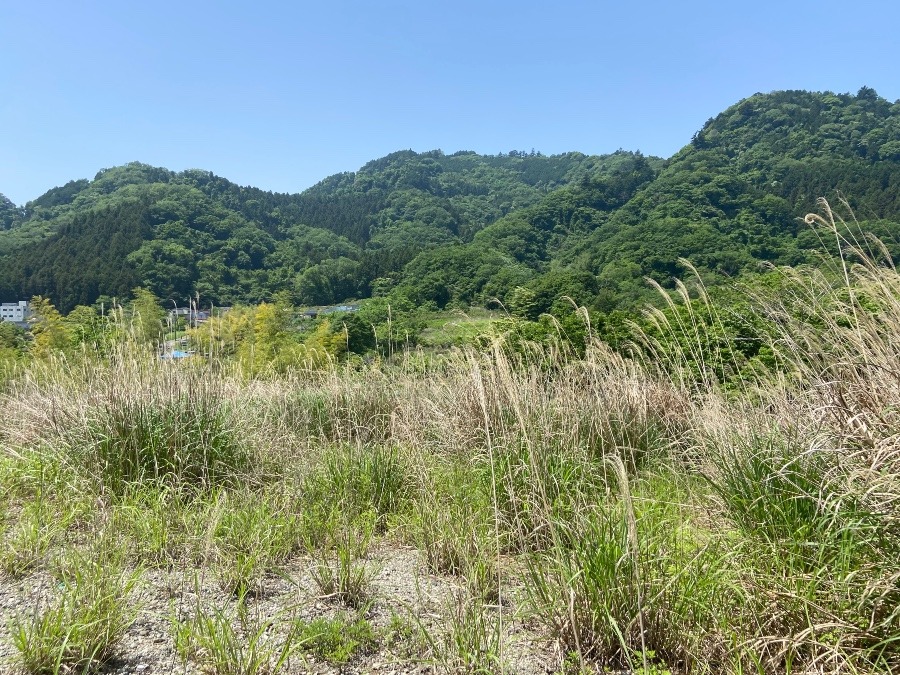 相模原市の大地　山の中腹の土地　何に使えるのだろうか？