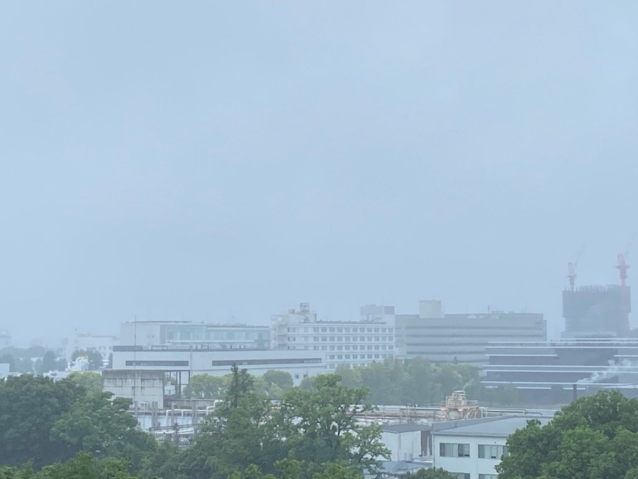 今朝の富士山　小雨にけむる空気の中