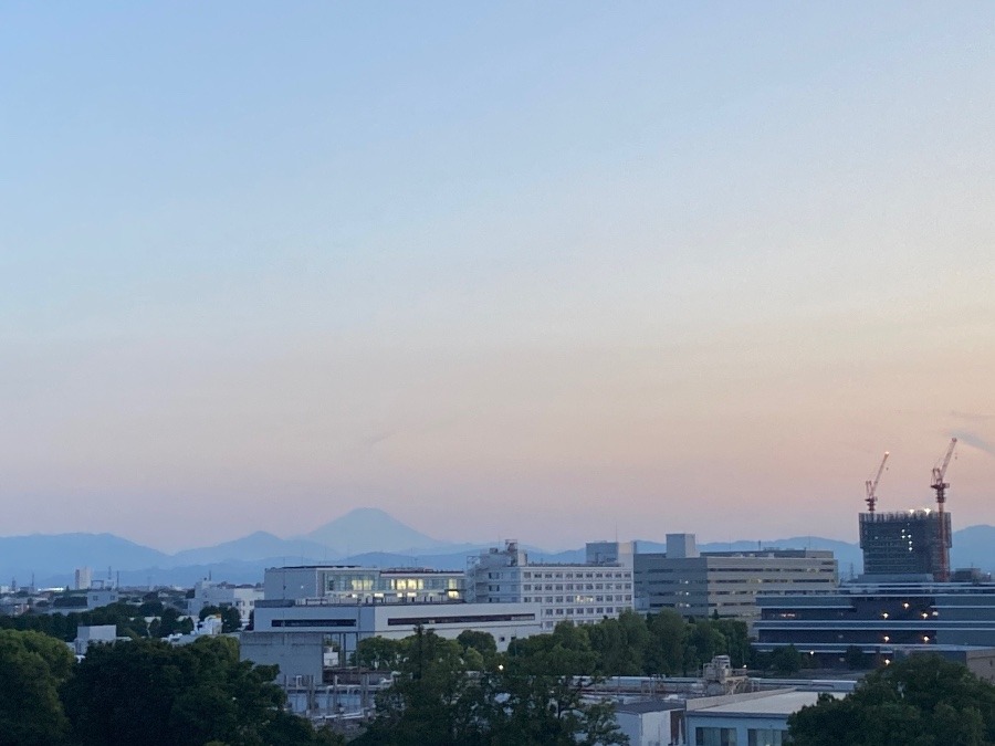 今朝の富士山　少し色がついていてなかなか