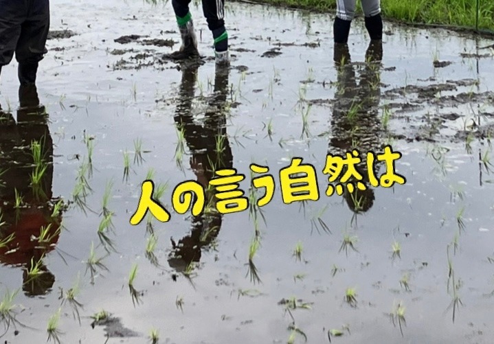 人の言う自然は