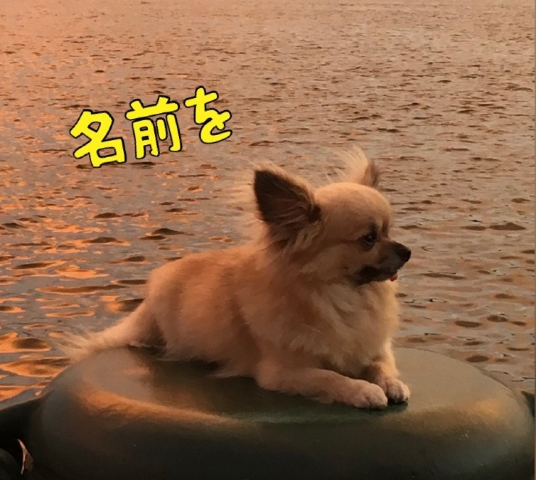 名前を