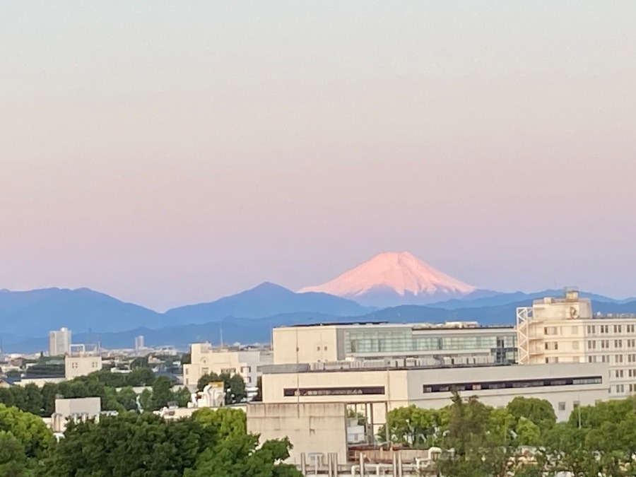 今朝の富士山　雨上がりの空の下　しっかり美しい