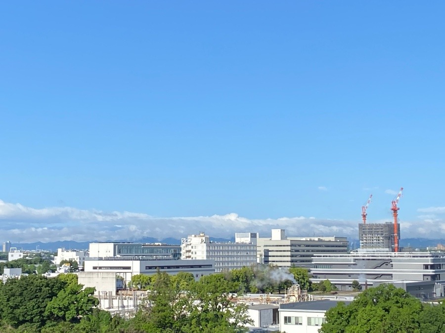 今朝の富士山　低く雲がたなびいている