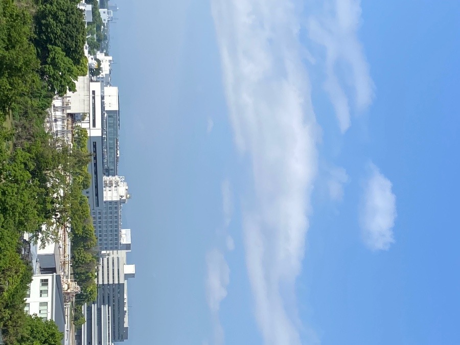 今朝の富士山　晴れていますが雲の中にうっすらと