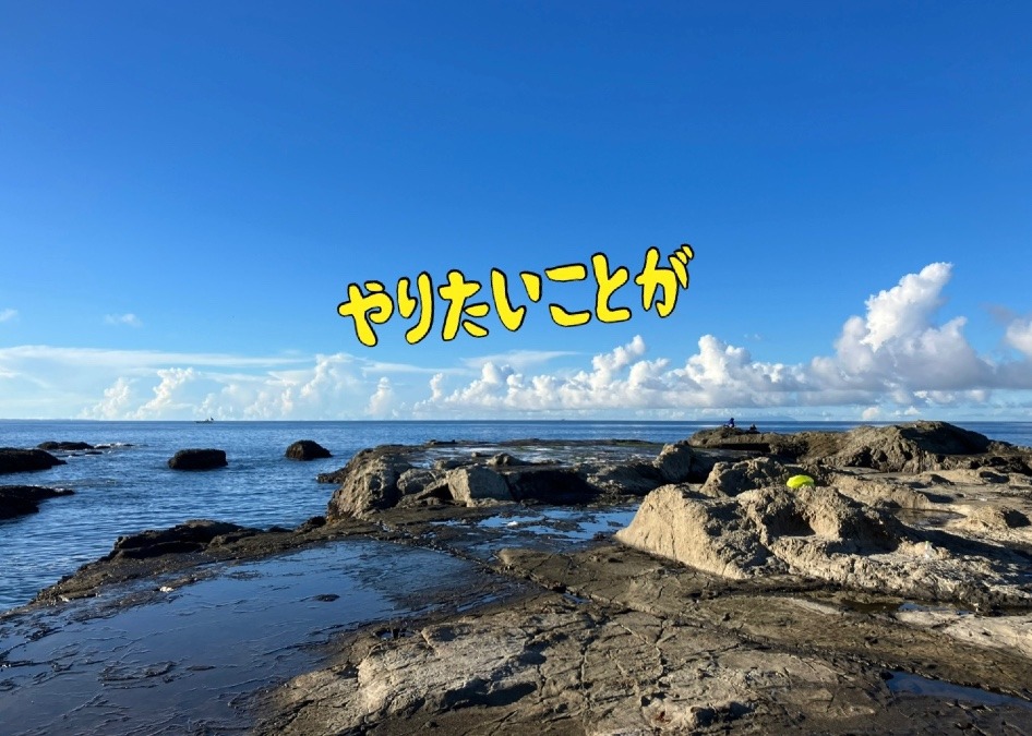 やりたいことが