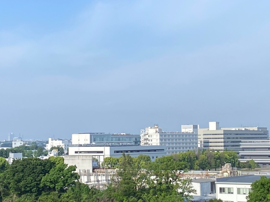 今朝の富士山　今朝もうっすら雲の中です