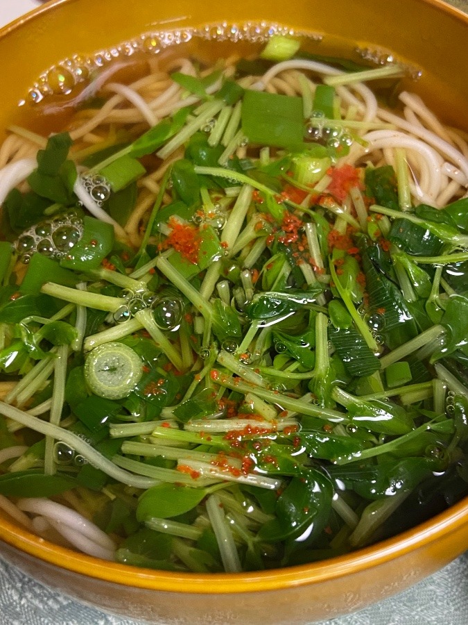 漢の調理実習　昨夜の残りのそうめんで朝つゆ