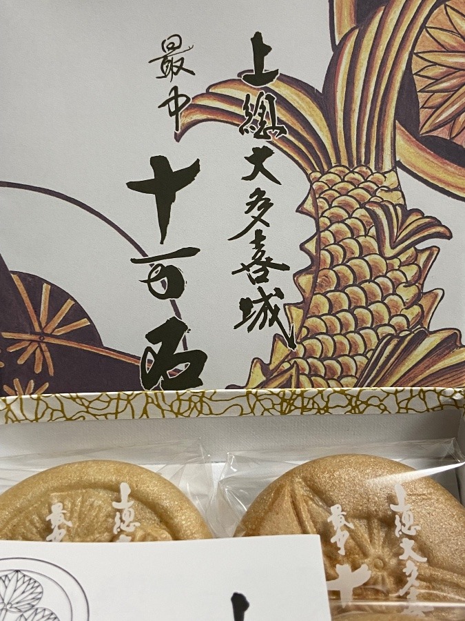 大多喜城十万石最中　たっぷり小豆入りの最中