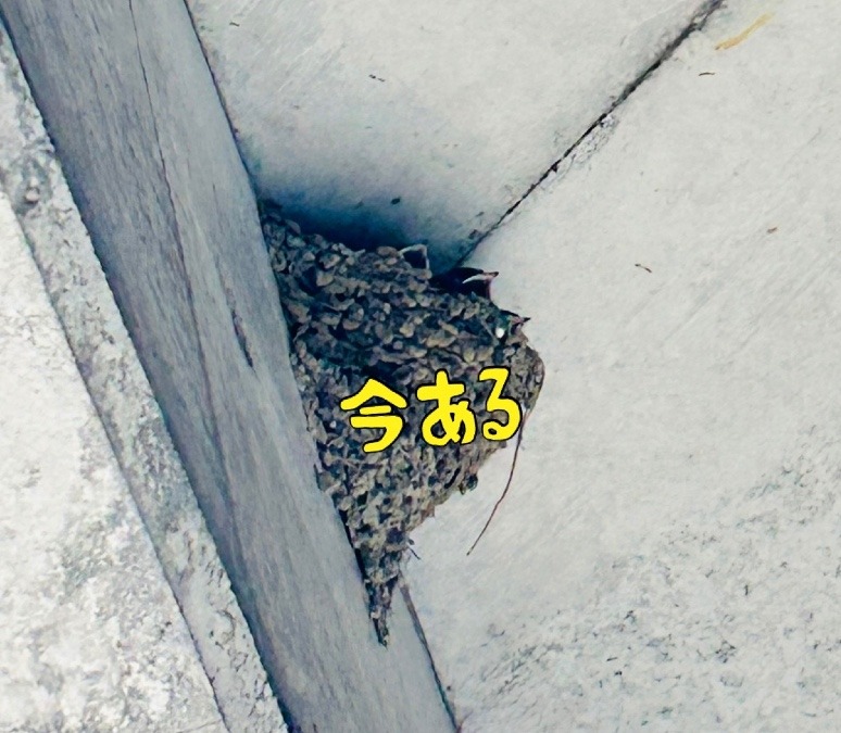今ある