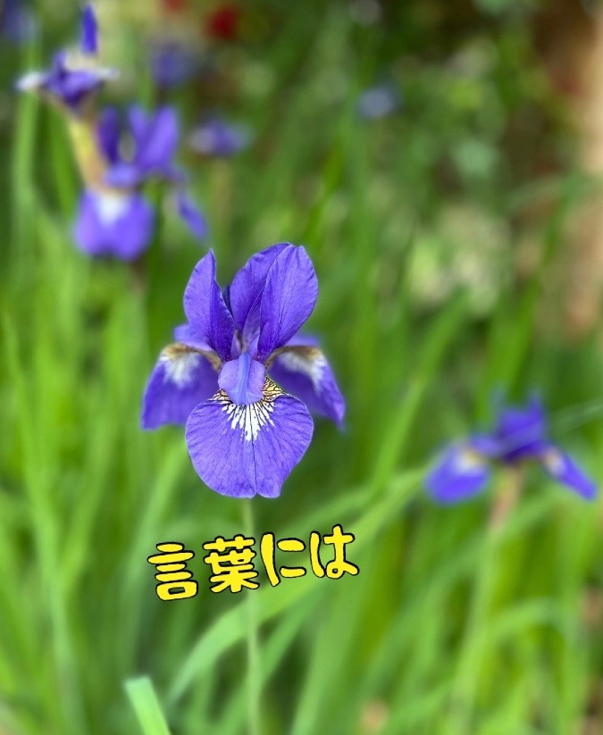 言葉には