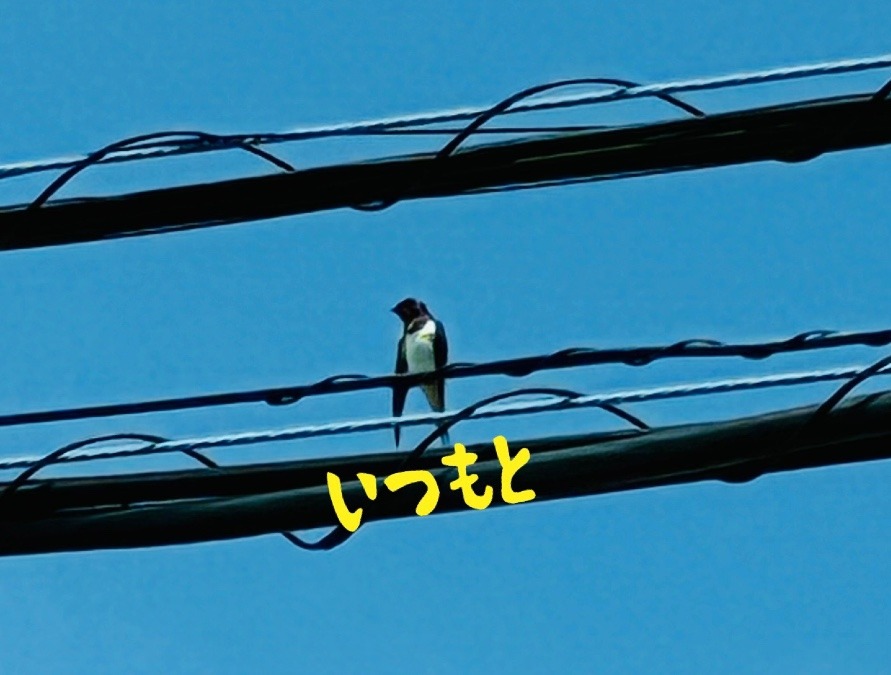 いつもと