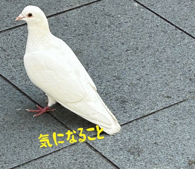 気になること