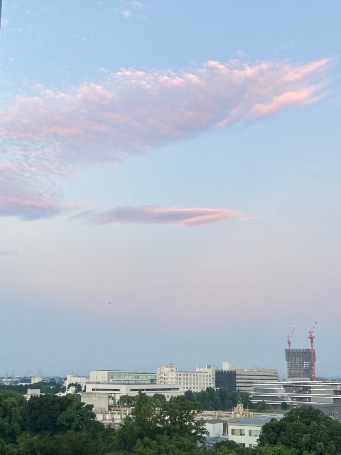 今朝の富士山　暑さの予感の中で見えず