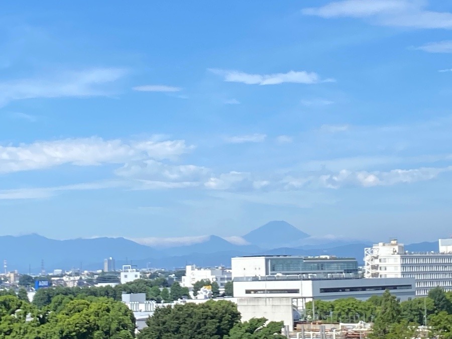 今朝の富士山