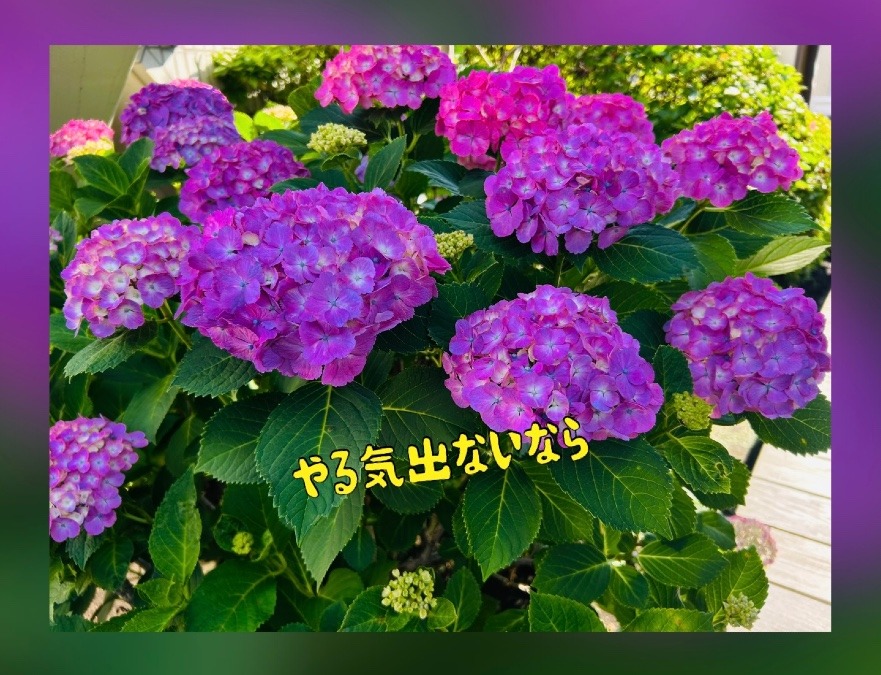 やる気出ないなら