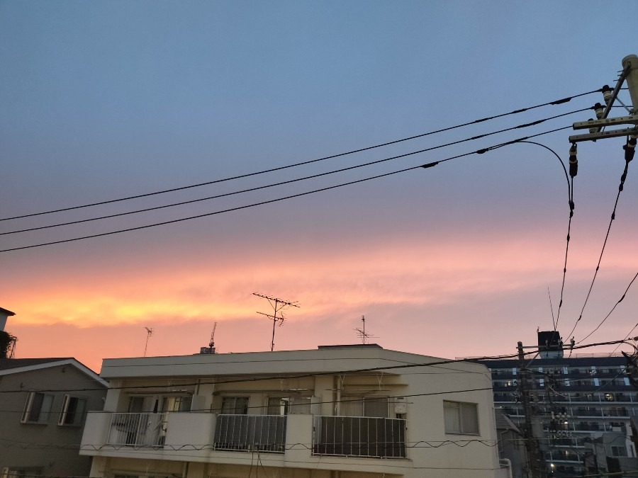 夕焼け