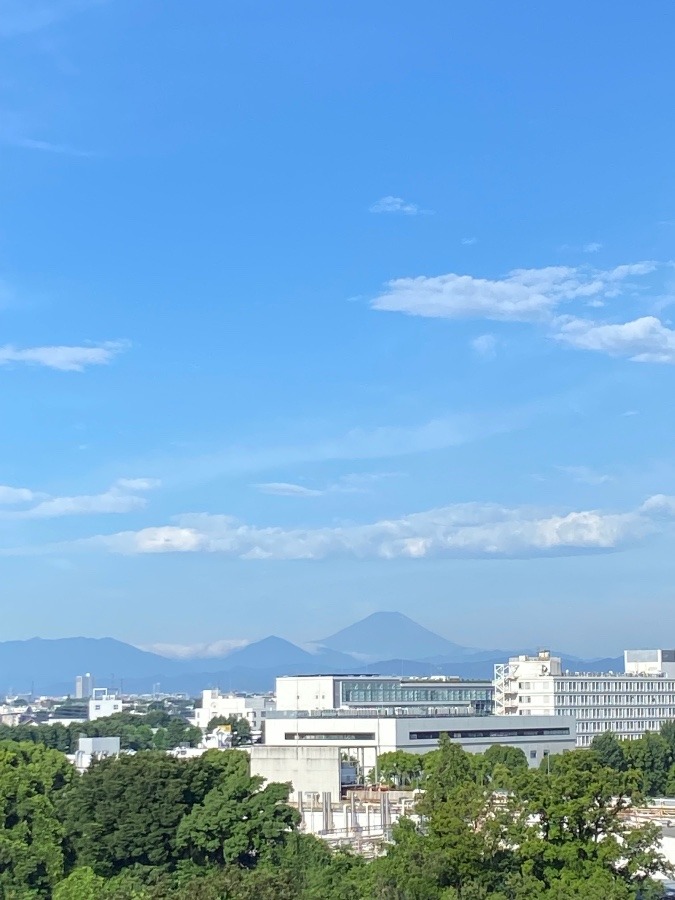今朝の富士山