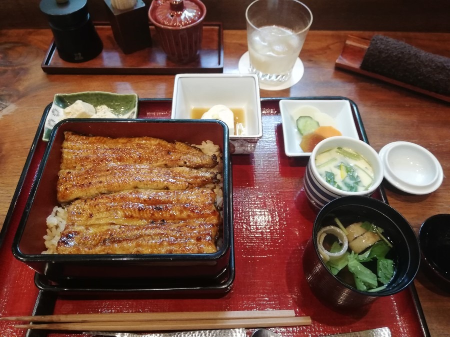菊水楼 うな菊のうな重