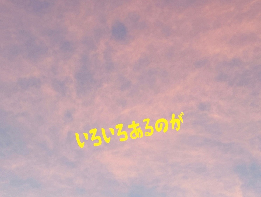 いろいろあるのが