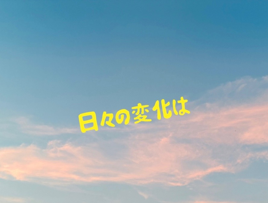 日々の変化は