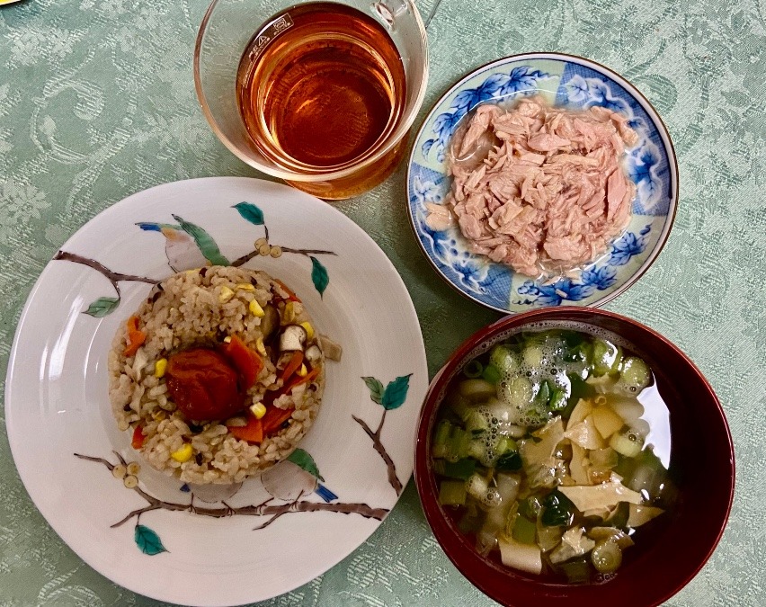 夕食はこれ　やはりご飯がいい　ソーメンから変更