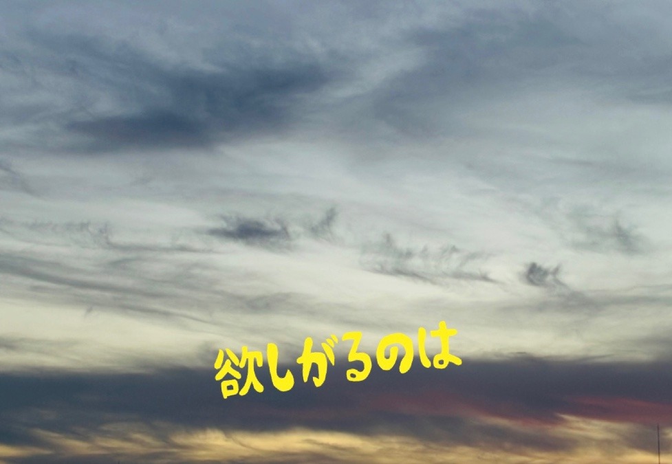 欲しがるのは