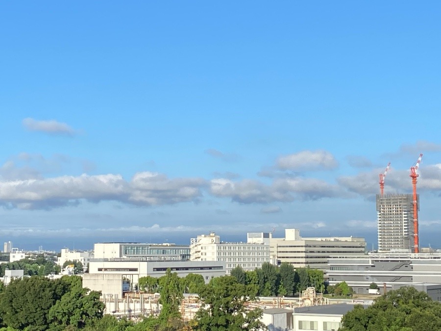 今朝の富士山　たなびく雲の中に隠れてます