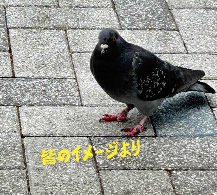 皆のイメージより