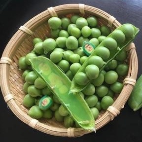 遠藤匡彦